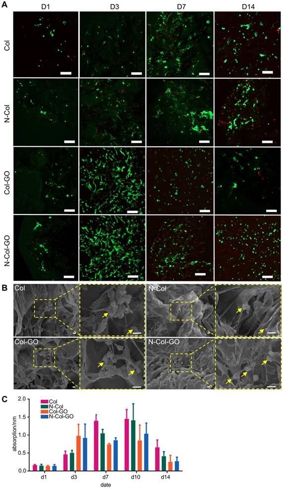 Theranostics Image