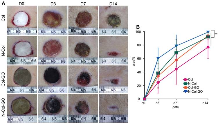 Theranostics Image