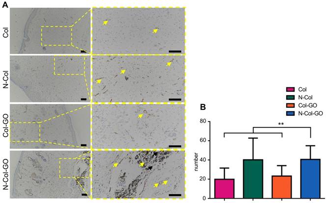 Theranostics Image