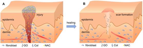 Theranostics Image