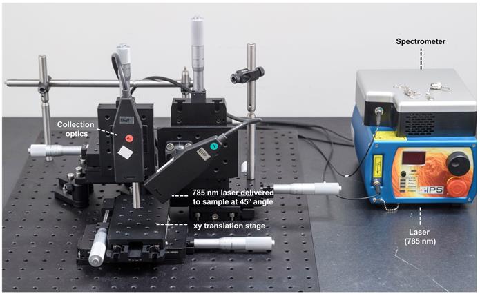 Theranostics Image