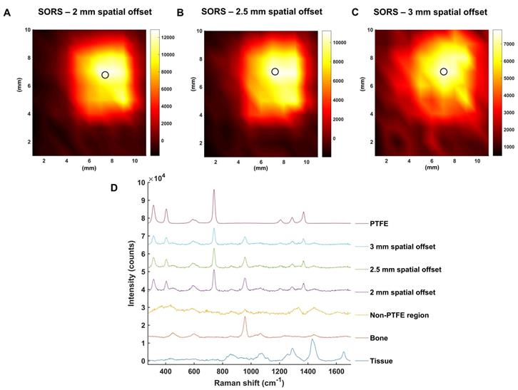 Theranostics Image