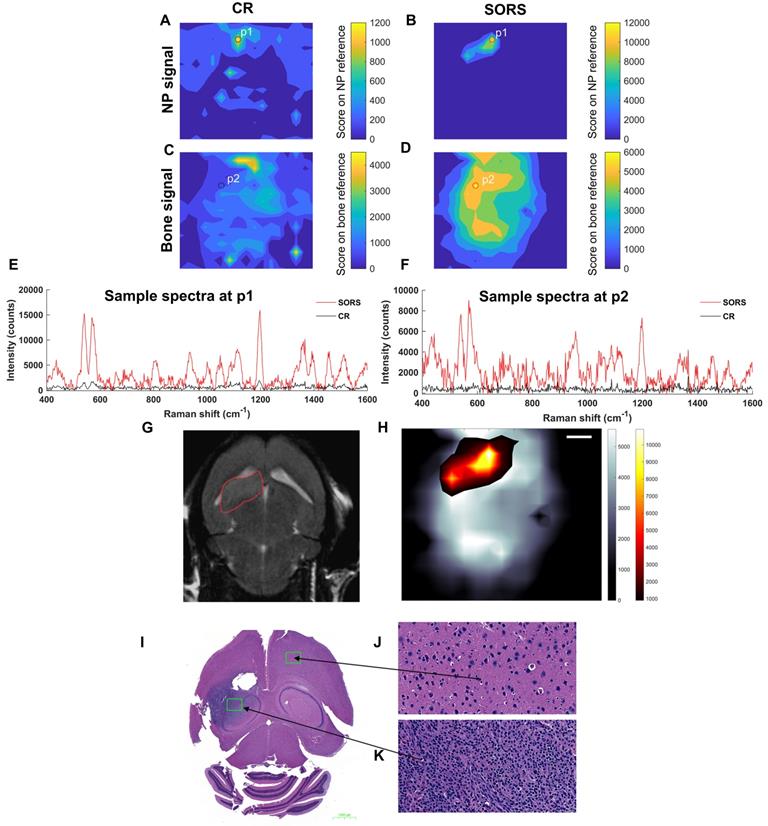 Theranostics Image