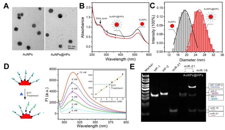 Theranostics Image