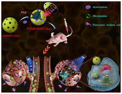 Theranostics Image