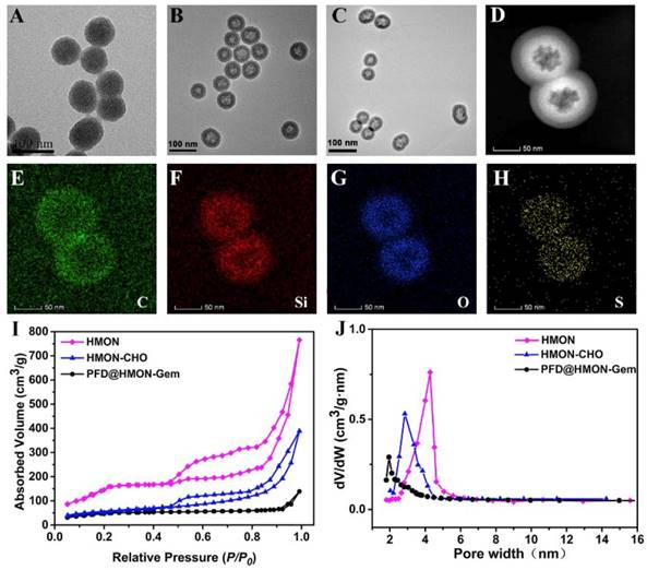 Theranostics Image