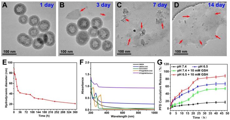 Theranostics Image