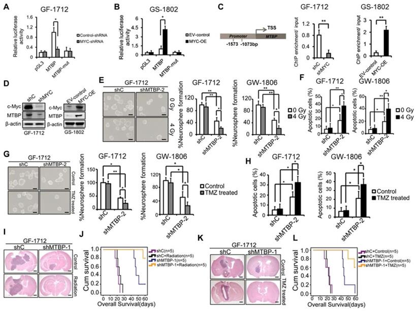 Theranostics Image