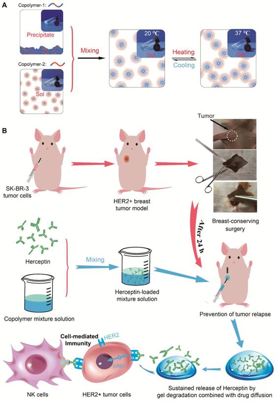 Theranostics Image