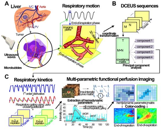 Theranostics Image