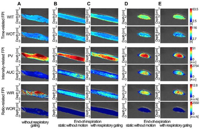 Theranostics Image