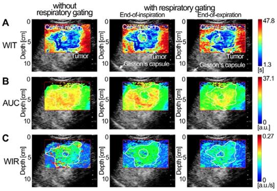 Theranostics Image