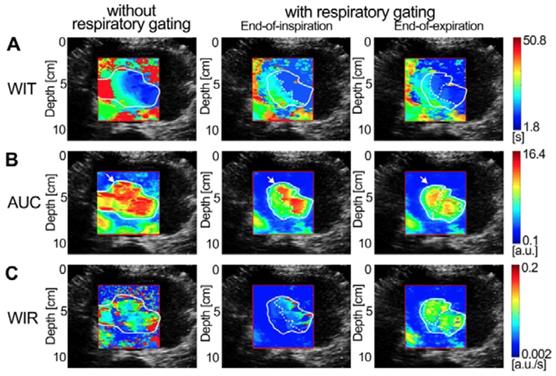 Theranostics Image