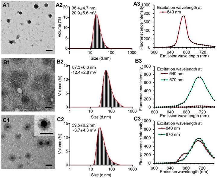 Theranostics Image