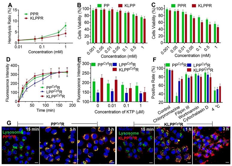 Theranostics Image