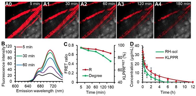 Theranostics Image