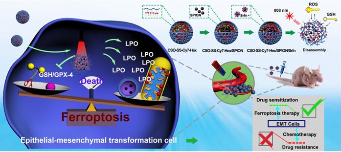 Theranostics Image