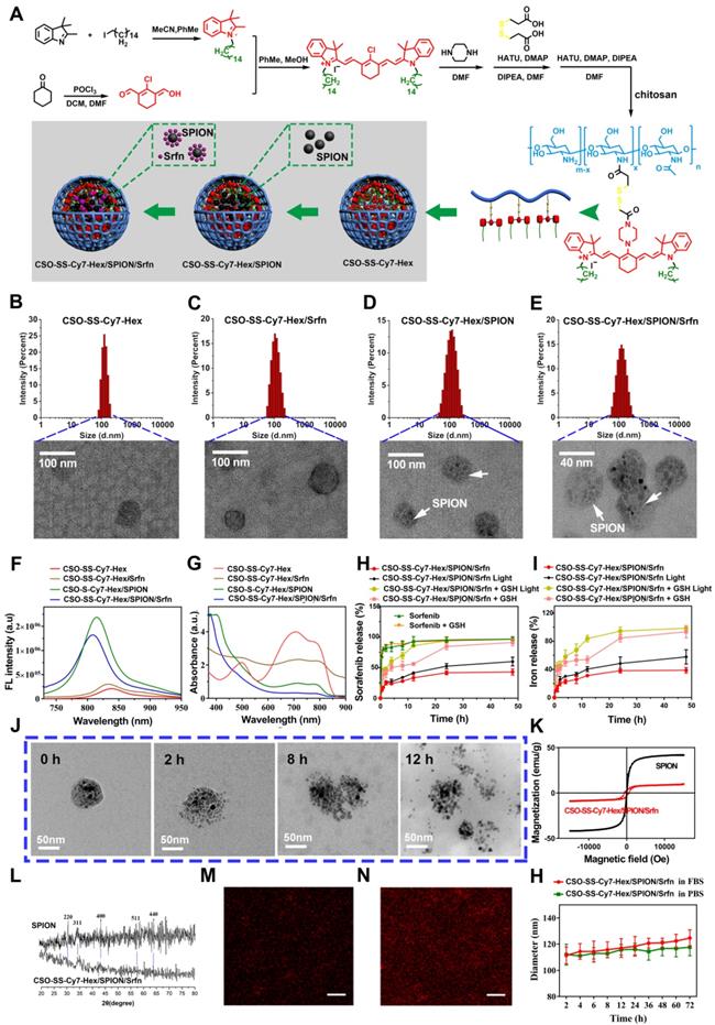 Theranostics Image