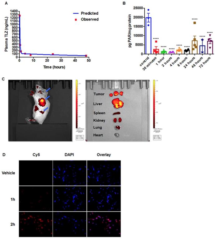 Theranostics Image