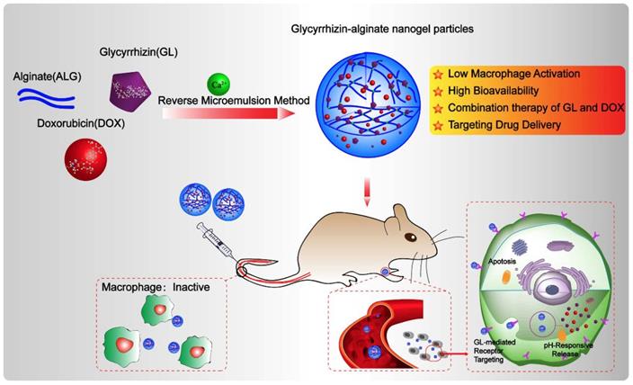 Theranostics Image