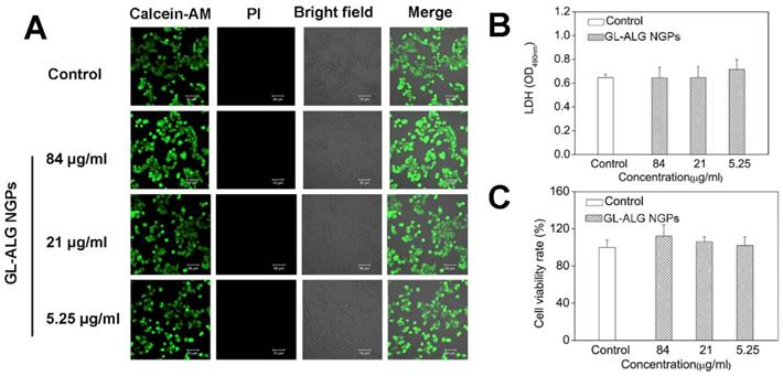 Theranostics Image