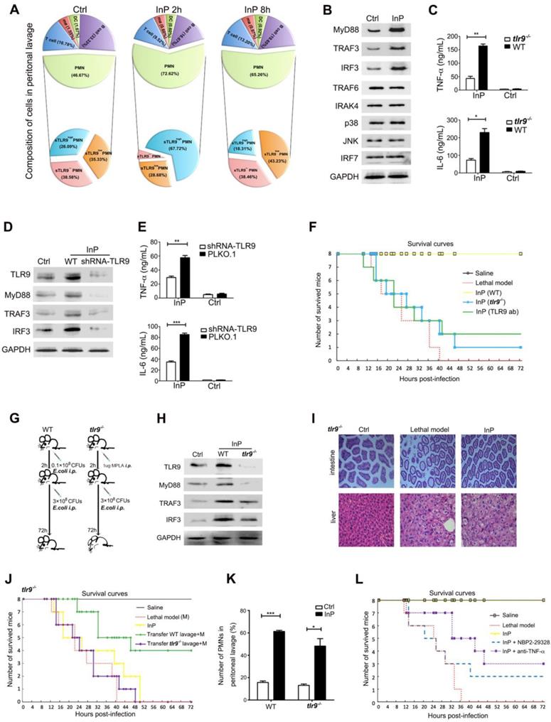 Theranostics Image