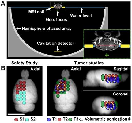 Theranostics Image