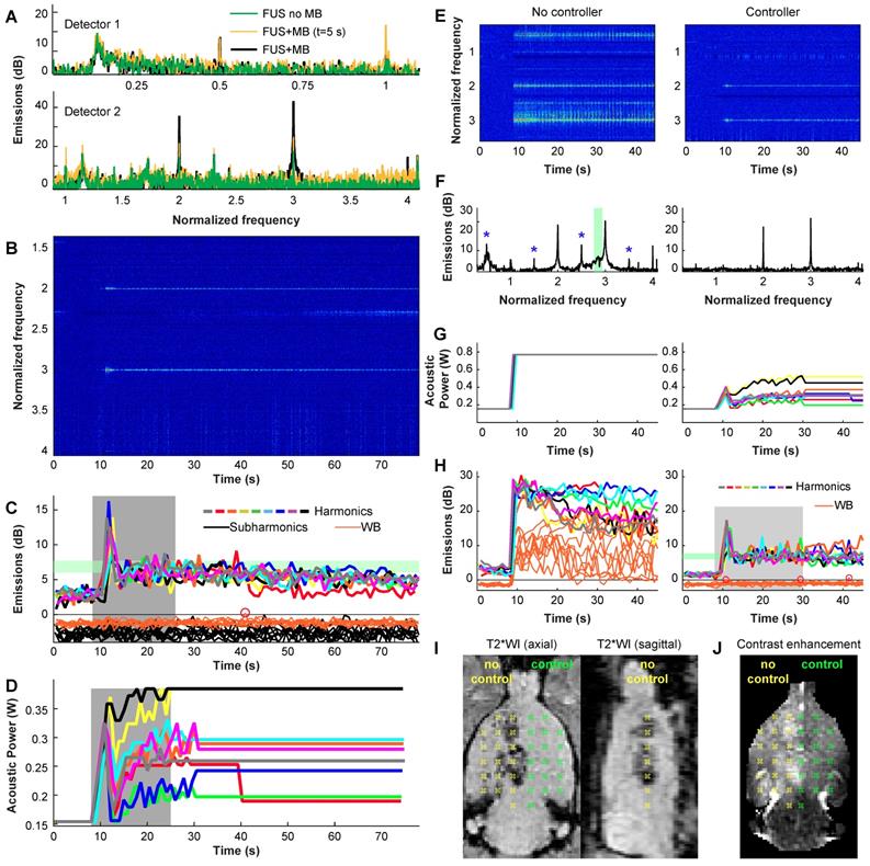 Theranostics Image