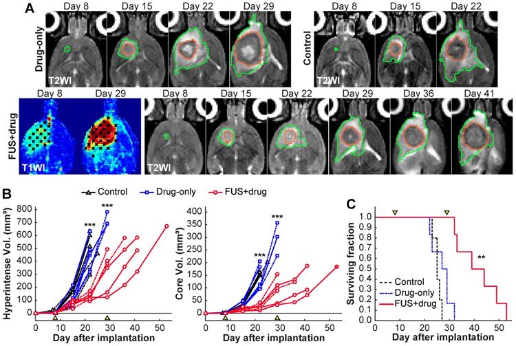 Theranostics Image