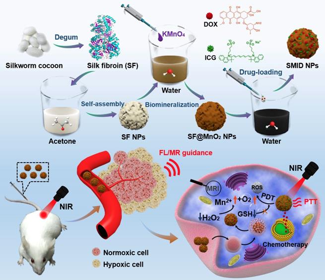 Theranostics Image