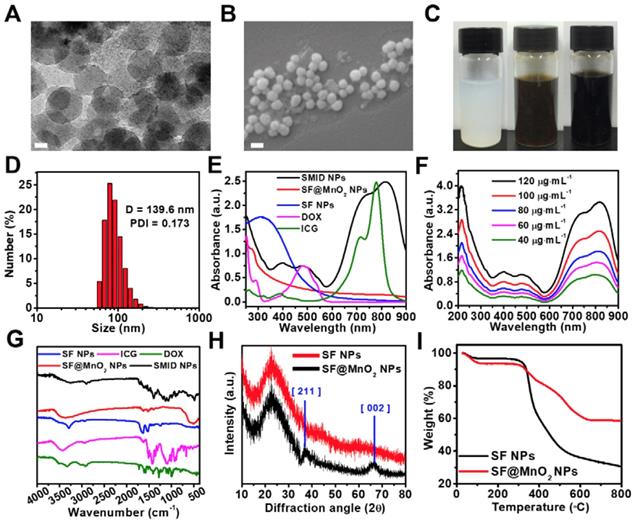 Theranostics Image