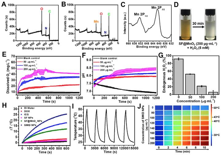 Theranostics Image