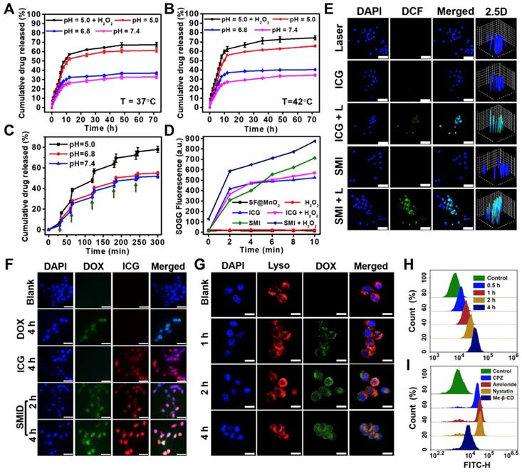 Theranostics Image