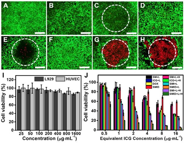 Theranostics Image