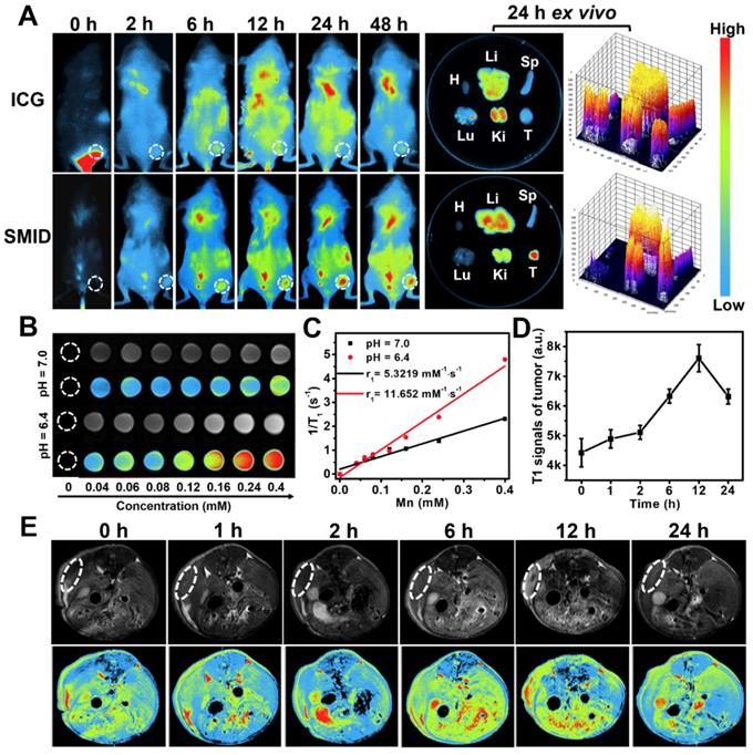 Theranostics Image