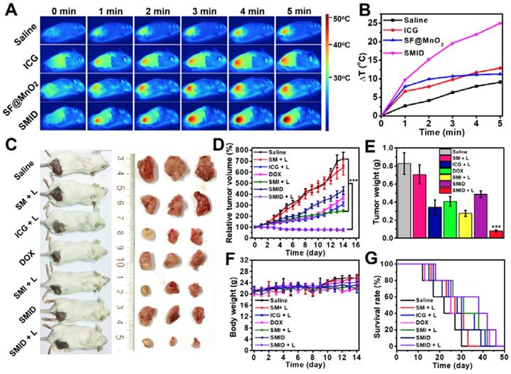 Theranostics Image