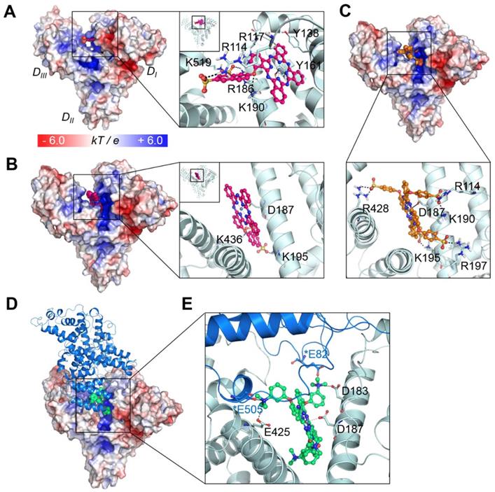 Theranostics Image