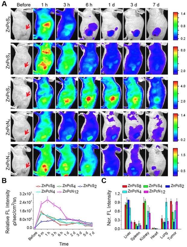 Theranostics Image