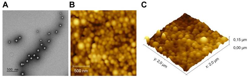 Theranostics Image