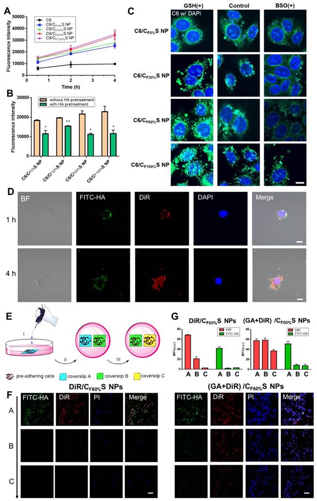 Theranostics Image