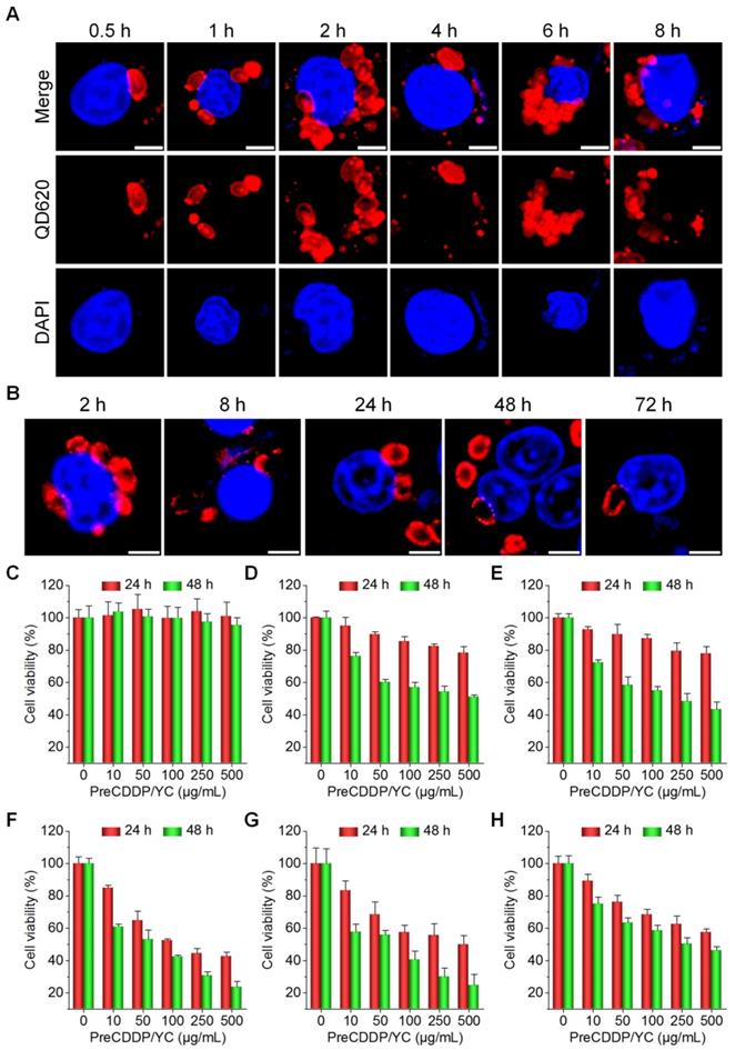 Theranostics Image