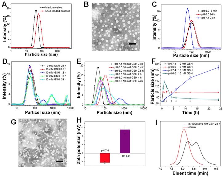 Theranostics Image