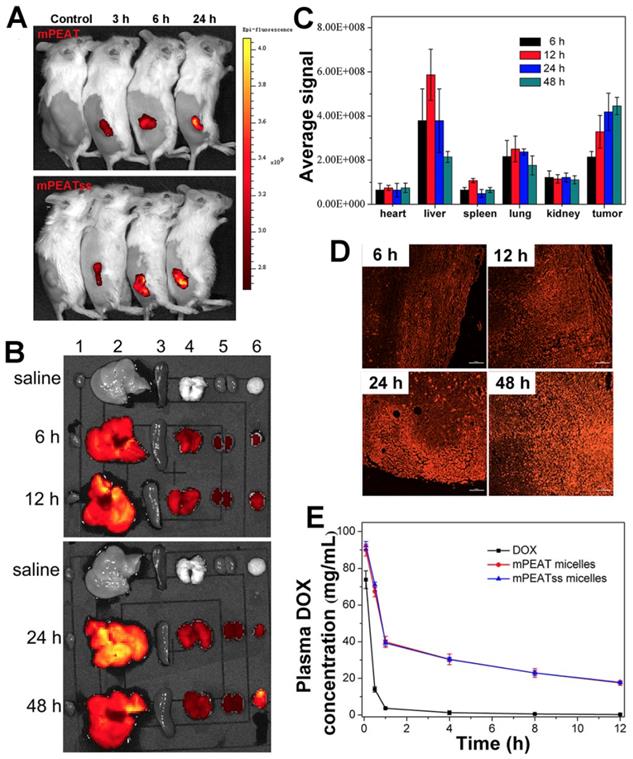 Theranostics Image