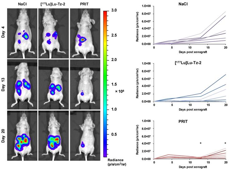 Theranostics Image