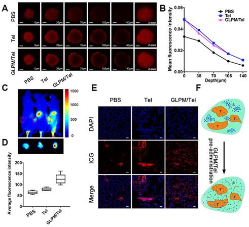 Theranostics Image