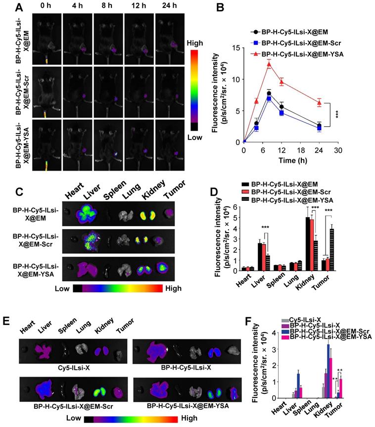 Theranostics Image