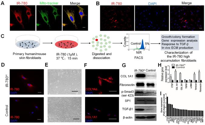 Theranostics Image