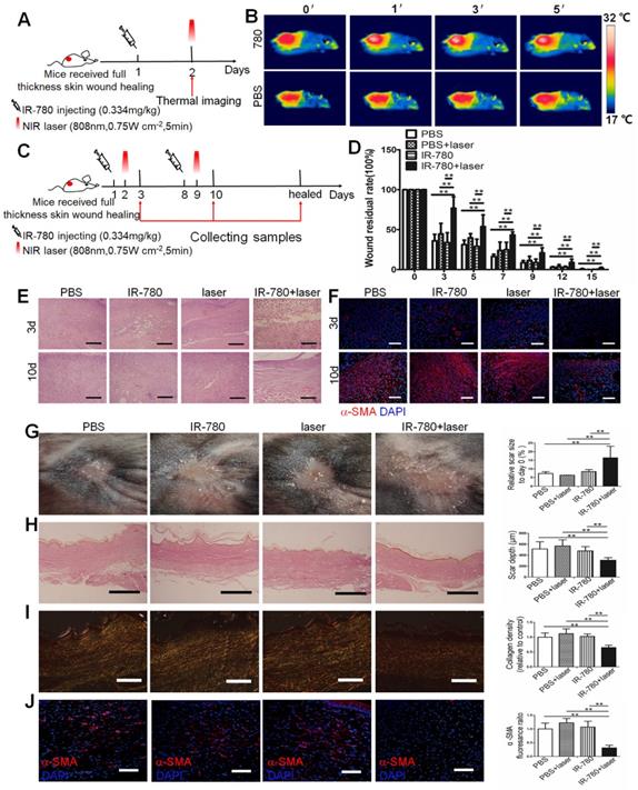 Theranostics Image