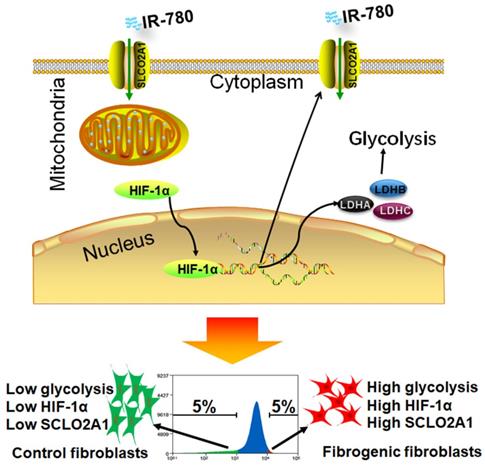 Theranostics Image