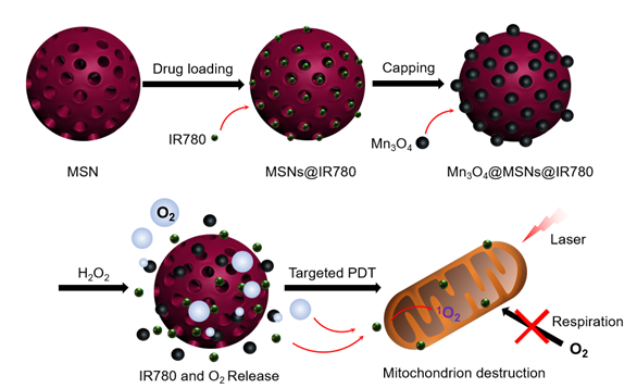 Theranostics Image